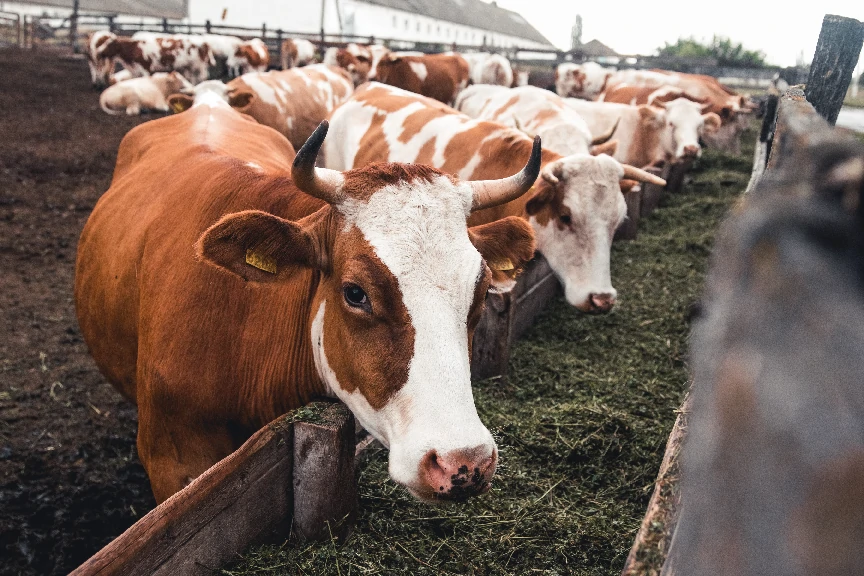 expertises agricoles et rurales